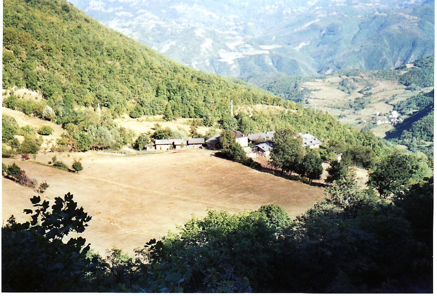 Mogliazze